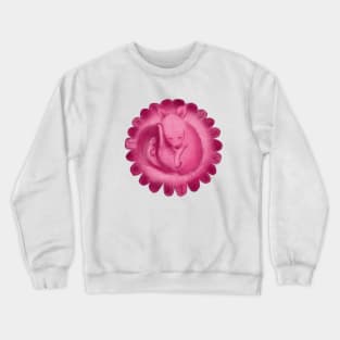 Baby Snoozing Crewneck Sweatshirt